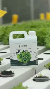 pH Down Solution 1L / 1000ml – Phosphoric Acid Nutrient Water pH Control for Hydroponics Aquaponics & Plants