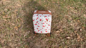 SEA CHOICE Koper cabin 19 inch lucu dicetak PC hardcase tas bagasi ringan koper backpack set