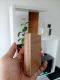 Woodcraft Treasures