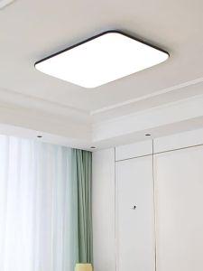 Gorgeous Ceiling Light: Modern Design & Remote Control