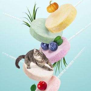 Ranova đồ ăn nhẹ cho mèo khô Đông lạnh kẹo mút bổ dưỡng ngon mèo cưng đồ ăn nhẹ đào tạo bổ ích 10 miếng/25 miếng hương vị khác nhau