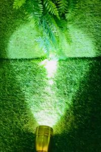 Model 2024 Flashlight Torch Light Japan Gold Color With Extra Battery & Led Bulb 2 Year Warranty SONALI Lampu Suluh Warna Emas All Size