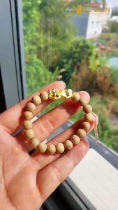 Vòng tay Vegan Trầm Hương Thuần Chay tốc kiến mix Tỳ Hưu Đầu Rồng