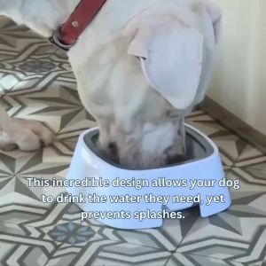 Anti-Splash Magic Bowl