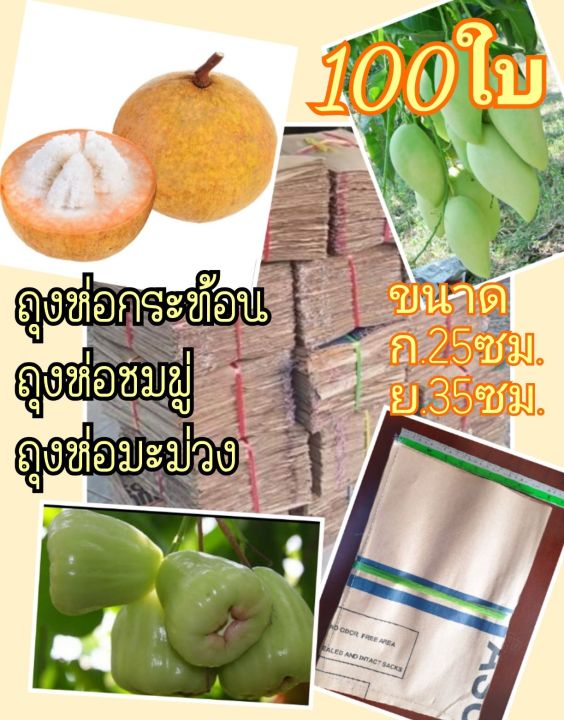 ถุงห่อผลไม้อเนกประสงค์ 25x35 ซม. สำหรับกระท้อน ชมพู่