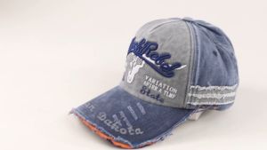 Rhodey Topi Baseball Cap Bordir 3D Rebel Indian Dakota - MZ004