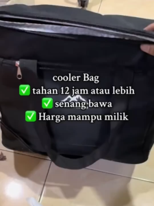 30L Insulated Cooler Bag Portable Ice Chest for Camping Fishing Picnic & Outdoor Parties Bag