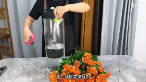 10pcs Flower Food Nutrient Preservative for Plant Fresh Cut Flower Bouquets Flower Arrangements Suppies