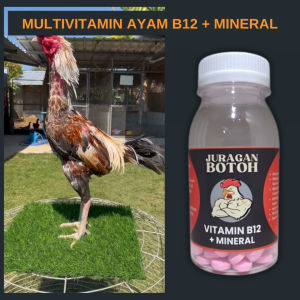 Multivitamin Ayam Aduan B12 Juragan Botoh Biar Sehat Tidak Mudah Sakit