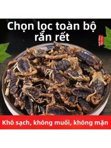 Bạch Thuỷ Toàn Bọ Cạp Khô Thảo Dược Trung Quốc 100g