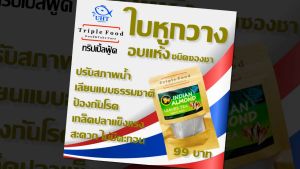 UHT ชนิดซองชา การชนิดเสียงหูกวางสำหรับ ปลากัด ปลาสวยงาม ปลากัดสวยงาม น้ำหมักปลากัด ใบหูกวางแห้ง น้ำหมักใบหูกวาง ใบหูกวางปลากัด ใบหูกวางอบแห้ง