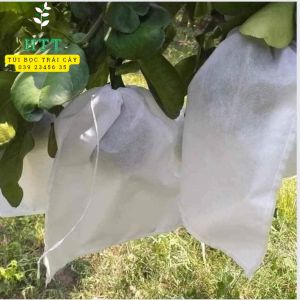 100 Cái 35x40cm TÚI VẢI BA0 BỌC TRÁI BƯỞI DƯA LƯỚI CHÙM MẬN NHÃN ...- TÚI BAO TRÁI CÂY