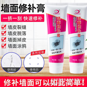 WE 3508* = 墙面修补膏 Wall Repair Paste ☞ 250g