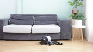 Heavy Duty Industrial Professional Dog Hair Dryer: A Comprehensive Guide