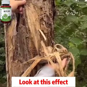 ✨1 bottle kills 100 trees✨tree killer chemical 100ML tree killer