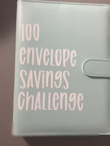 100 Envelope Money Saving Book Challenge Binder Fun and Easy Way to Save