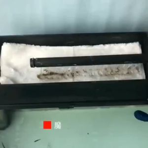 Túi Lọc Hồ Cá 2 Lớp Cao Cấp Loại Bỏ Cặn Bẩn Chống Tràn Bể Cá