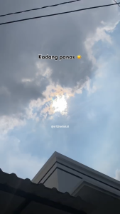 Diskon Maxi Propolis SR12 Skincare & Herbal 100% Original / Anti Biotik Alami / Propolis Nano Green Brazilian Propolis Menjaga Daya Tahan Tubuh / Alergi / Antioksidan Paling Tinggi / Mengurangi Kadar Glukosa Darah / Aman / BPOM