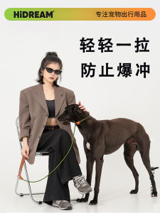 HiDREAM Dog Leash Explosive Proof Training Rope Large Medium Dogs Walking Rope Pet Training Dog Rope