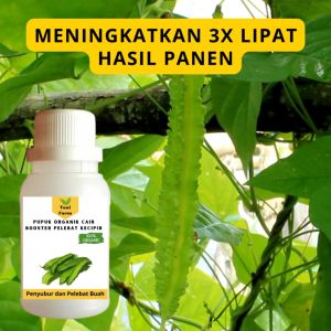 Pupuk Kecipir Cepat Berbuah / Pupuk Pelebat Kecipir / Pupuk Booster Kecipir Cair