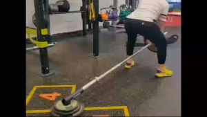 Superb T Bar Row Platform Attachment Install on Floor or Wall Holder Insert Landmine Barbell Workout