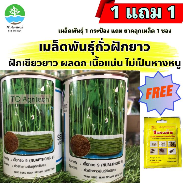 เมล็ดพันธุ์ถั่วฝักยาว เนื้อทอง9 ตราซีดไลน์ เมล็ดเคลือบยา
