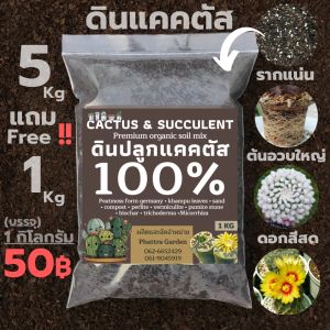 ดินปลูกแคคตัส ดินปลูกกระบองเพชร 1kg ดินปลูกไม้อวบน้ำ สูตรโปร่งพิเศษ รากเดินดี ดินแคคตัส ดินปลูกแคตตัส ดินปลูกสมุนไพร