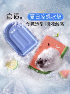 ที่รองน้ำแข็งรูปส้มสีสันสดใสสำหรับhamster ที่รองน้ำแข็งฤดูร้อนสำหรับการลดอุณหภูมิ แผ่นรองน้ำแข็งสำหรับการนอนหลับที่สบาย ของเล่นฤดูร้อนสำหรับสัตว์เลี้ยง