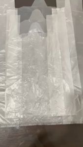 [100 pcs] JR Transparent Plastic Sando Bag - Mini Tiny Medium Large