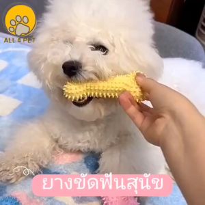 Teether for dogs ยางกัดสุนัข แปรงสีฟันสุนัข ของเล่นยางขัด ทำความสะอาดฟัน ปลอดภัย ทนทาน ของเล่นสุนัขตัวเล็ก/ใหญ่ พร้อมส่งในไทย
