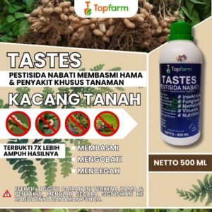 Obat Semprot Buah Kacang Tanah / Obat Semprot Kacang Tanah / Obat Penyubur Tanaman Kacang Tanah / Obat Hama Kacang Tanah / Obat Untuk Kacang Tanah - Lazada