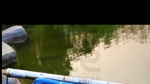 220V/60Hz Submersible Pump 4inch 3HP-4HP Electric Self Priming High Lift Deep Well Impeller Water Pump 496ft 25GPM