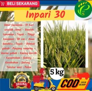 Benih padi INFARI 30 QUALITY KEMASAN 5kG