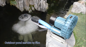 ปั้มอ็อกซิเจน Bonetar ปั้มลม GF SERIES ปั๊มลมระบบใบพัดไฟฟ้า ปั้มอ๊อกซิเจนบ่อปลา