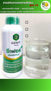 เจนวาย ซีเฟอร์พลัส 1L. สูตรเพิ่มไซโตไคนิน X3 (สารสกัดจากสาหร่ายสีเขียวและกรดอะมิโนแบบสกัดเย็นเข้มข้น) ช่วยกระตุ้นการแตกใบอ่อน เปิดตาดอก ขยายขนาดผล ฟื้นฟูสภาพต้นโทรมหลังเก็บเกี่ยว
