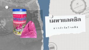 เมทาแลกซิล สารป้องกันกำจัดเชื้อรา โรครากเน่า, ขนาด 250g, 500g, 1 kg