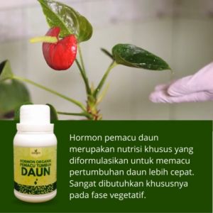 Pupuk Hormon Perangsang Penyubur Pelebat Penumbuh Daun Tunas Tanaman Melebatkan Anti Rontok