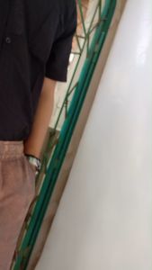 Celana Cargo Pendek Pria Chinos Snow Army Bisa COD