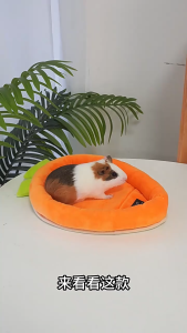 PetCoCo 🐾DLH Small Pet Carrot Bed Rabbit Guinea Pig Cage
