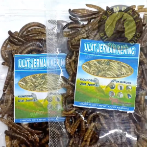 SEMPATI Pakan Burung Anis Cucak Ijo Pleci Kacer Cucak Rowo Jalak Murai Ciblek Ulat Jerman Kering R-Fam Jaya PKJK5RF - Meningkatkan Energi dan Produktivitas (Pakan/food)