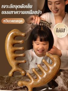 ไม่ทําให้หนังศีรษะเสียหาย หวีผม หวีมัลติฟังก์ชั่น วัสดุธรรมชาติ หวีเส้นเมอริเดียนหนังศีรษะ