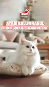 NOVAMOS Shampoo Degreaser Membersihkan Minyak Berlebih Kucing dan Anjing 250 ML