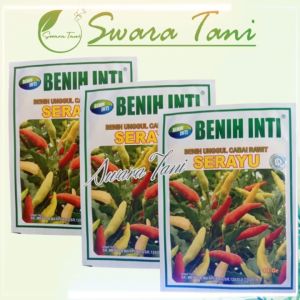 Benih Cabe Rawit SERAYU 10 gram ungul cabai rawit Benih Inti