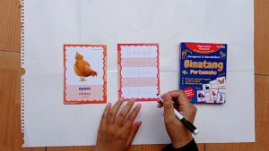 Buku Anak Wipe & Clean Flashcard Mengenal dan Menebalkan Binatang Pertamaku