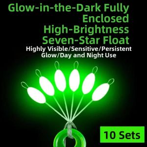 DONGZHIHUI | Luminous Color-Changing Bright Fish Float