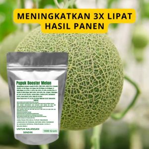 Pupuk Booster Melon Pelebat Organik Cepat Berbuah Lebat Besar Anti Rontok Pembesar Melon
