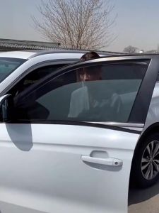 2Pcs/set Tirai Matahari Mobil Pelindung Panas Kelambu Mobil Universal Anti-Nyamuk mobil Untuk Jendela Samping Mobil