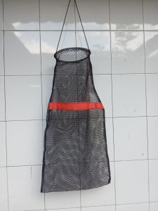 Koja Korang wadah ikan