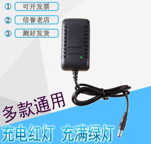 High-Pressure Car Wash Machine Battery Pack 22V0.5A Charger DC Input 500mA Constant Current Constant Voltage High Quality Power