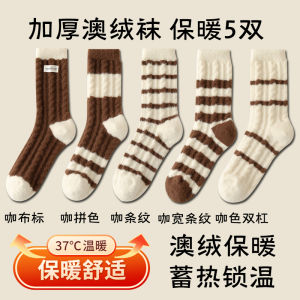 Thickened Fleece Womens Socks Winter Warm Sleepwear Coral Velvet Long Tube Home Floor Socks Luxury Embroidered Australian Velvet